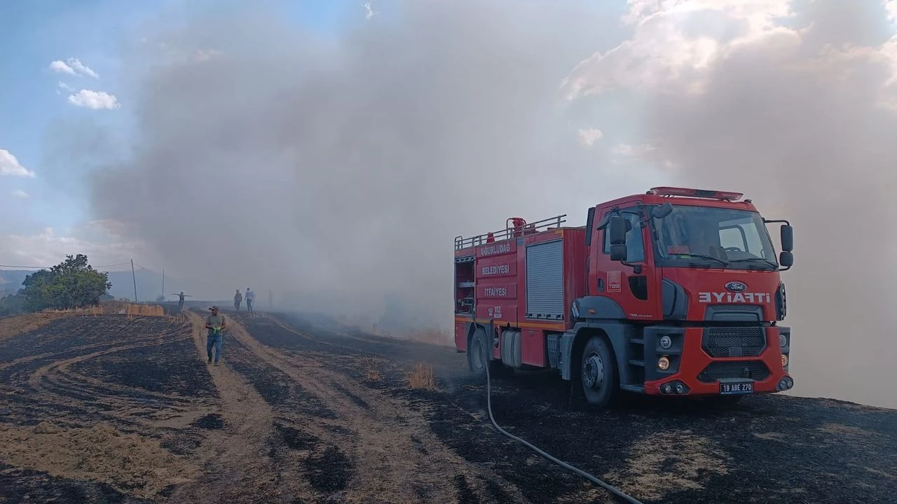 Çorum'da 25 dönüm buğday tarlası yandı