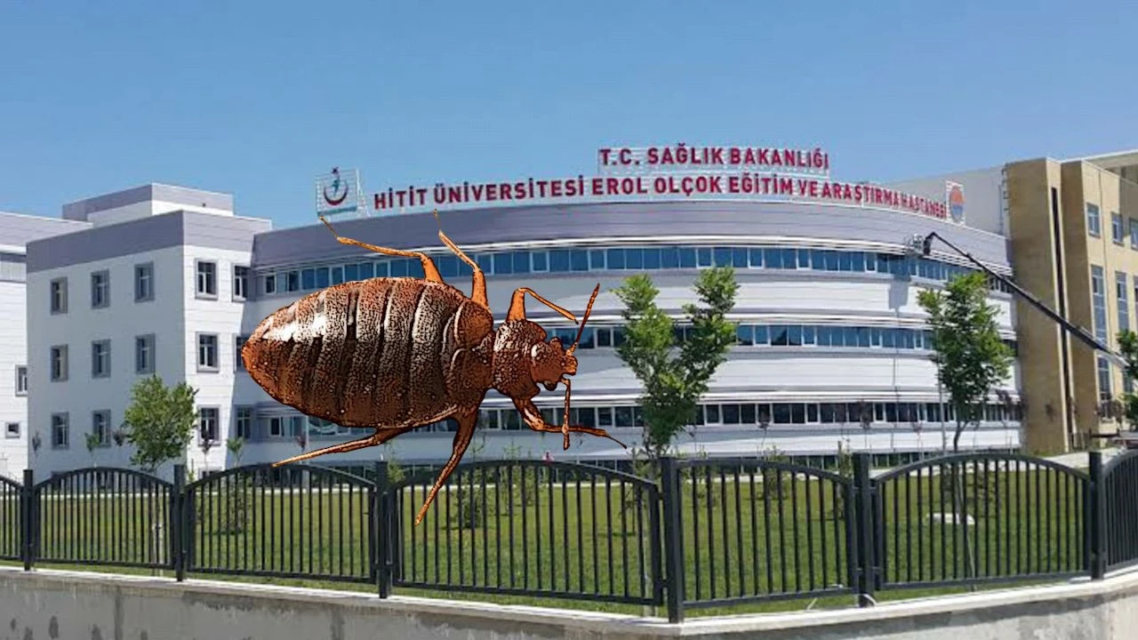 Hastanede tahtakurusu alarmı