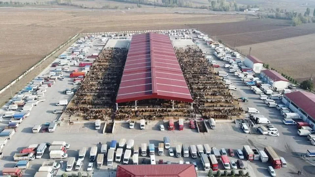 Çorum'da şap alarmı: Hayvan Pazarları süresiz kapatıldı